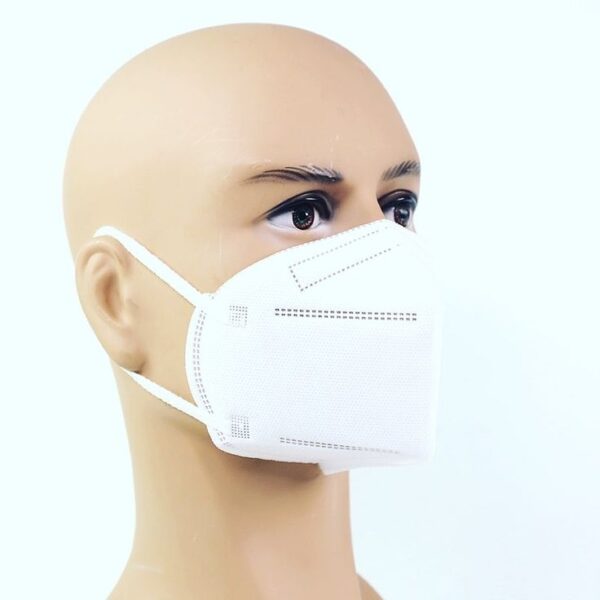 Control D N95 Mask (White)