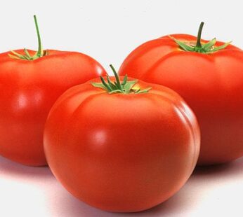 Desi Tomato (Tamatar)