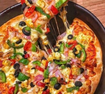 JUST VEGGIE PIZZA
