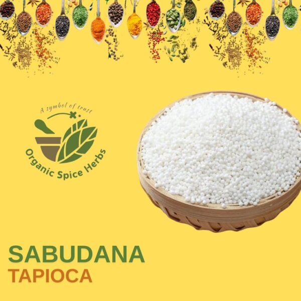 Rajdhani Sabudana 500g