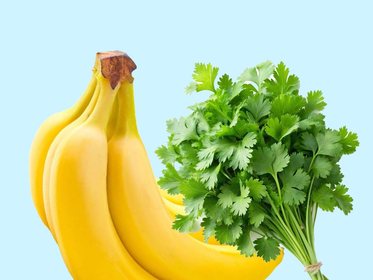 FRUITS & VEGETABLES