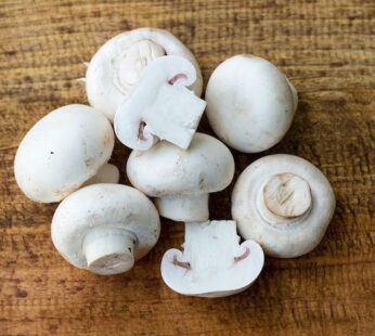 Button Mushroom