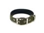 BearHugs Essential Dog Collar Padded with Lock (Black & Green)  Medium, 1 unit