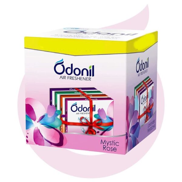 Odonil Bathroom Air Freshener Blocks - Mixed Fragrances (4 x 48 g) - Pack of 4