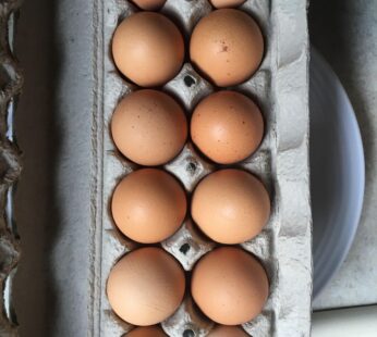 Nature Good Brown Eggs
