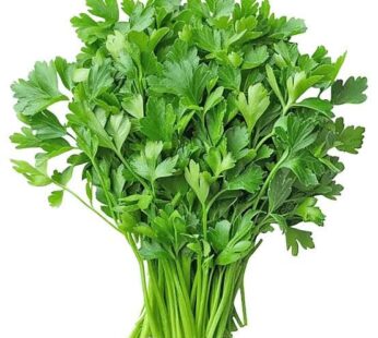 Coriander Bunch (Dhaniya Patta)